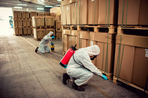 Reliable Willcox, AZ Pest Control Solutions
