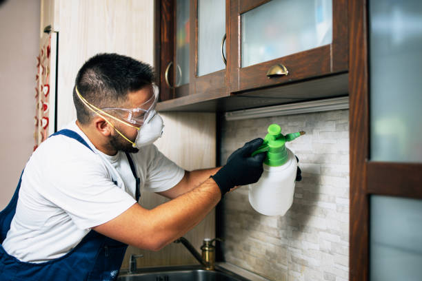 Best Bed Bug Extermination  in Willcox, AZ