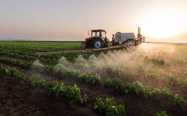 Best Pest Control Near Me  in Willcox, AZ