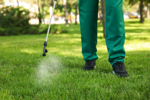 Best Pest Control Treatment  in Willcox, AZ