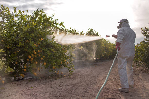 Best Residential Pest Control  in Willcox, AZ
