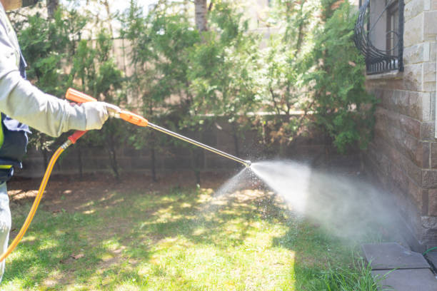 Best Residential Pest Control  in Willcox, AZ